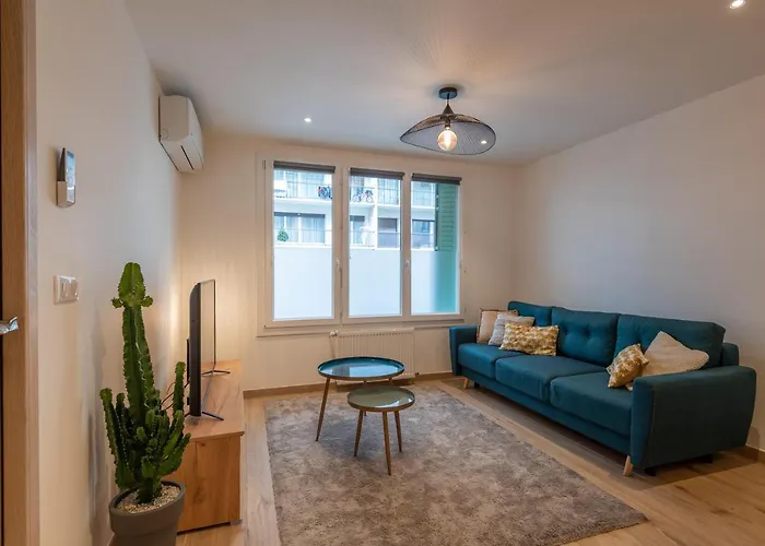 7 Rhone Super T2 Renove Avec Place De Parking Privee Apartment Annecy